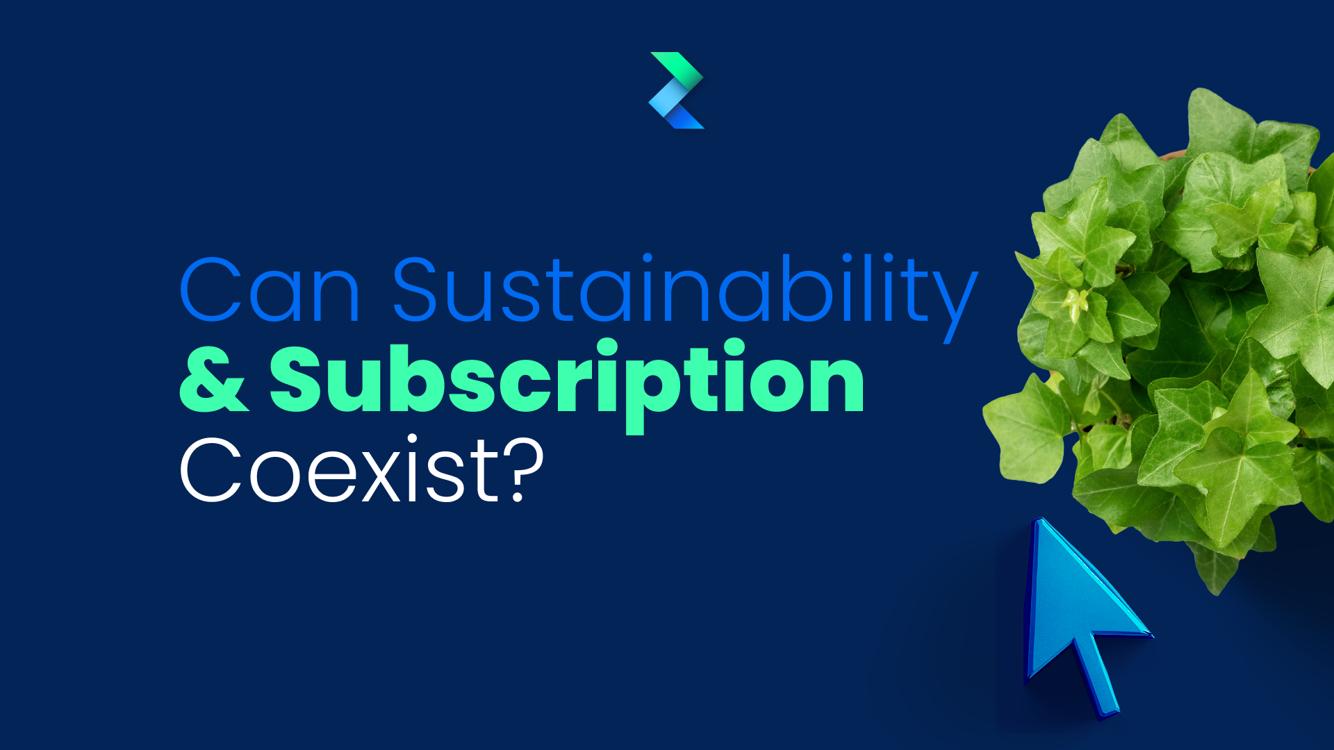 Sustainability and Subscriptions: Can They Coexist?