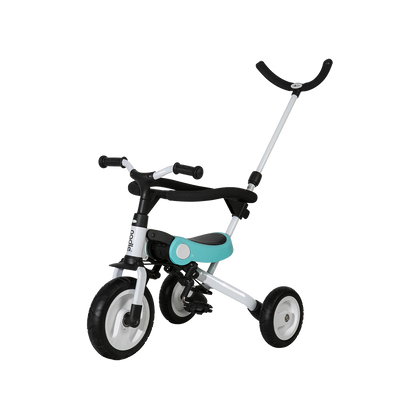 3-in-1 Trike