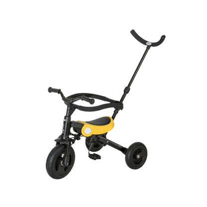 3-in-1 Trike
