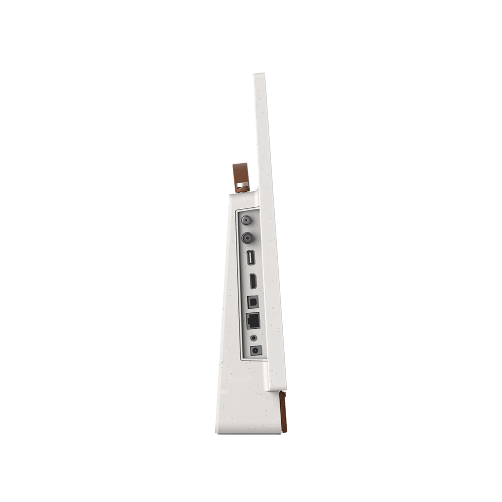 Skyworth Companion 24P100 Portable Display